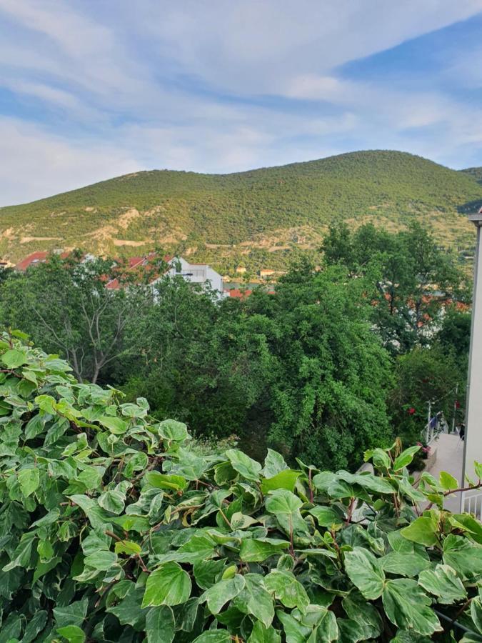 Apartment Rita Мокошиця Екстер'єр фото